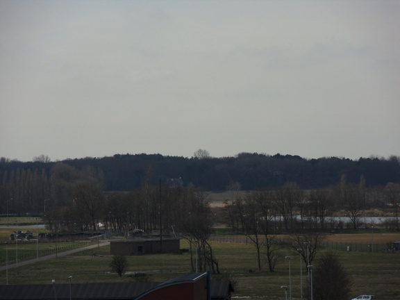 SDC10315