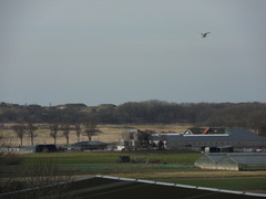 SDC10316