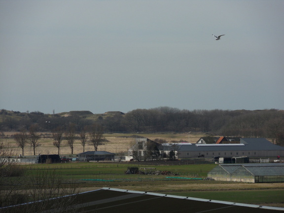 SDC10316