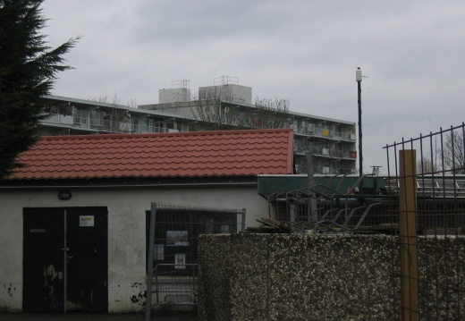 onsbuiten 3 (71 visits) repeater op turfhok richting clubhuis onsbuiten 3