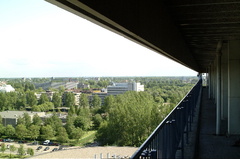 36