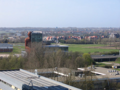 img 1350