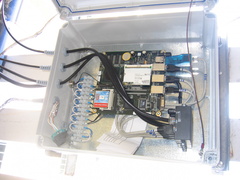 img 1353