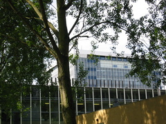 img 0074