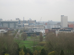IMG 0284