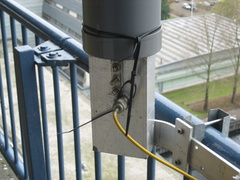 IMG 0287