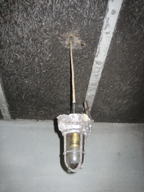 IMG 0293