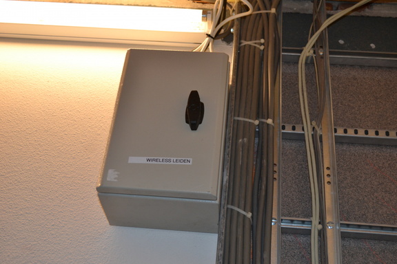 DSC 4019