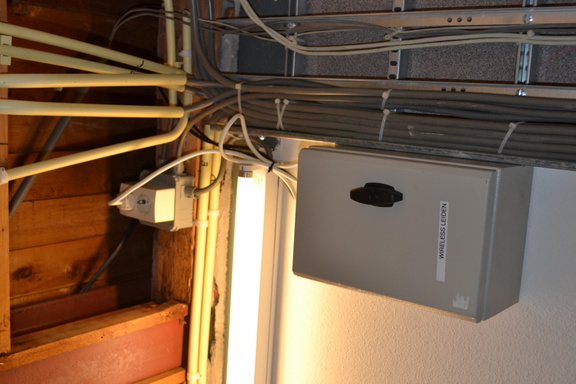 DSC 4020