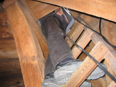 IMG 1429