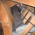 IMG 1429