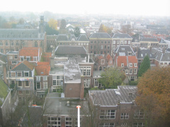 img 3547