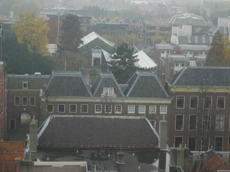 img_3548.jpg