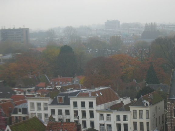img 3549