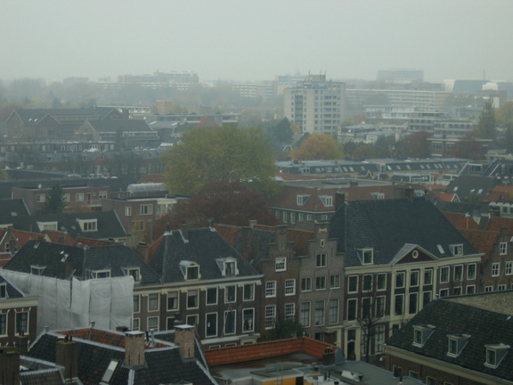 img 3550
