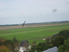 WBRotary 080