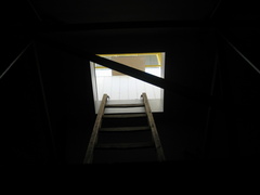 IMG 2687