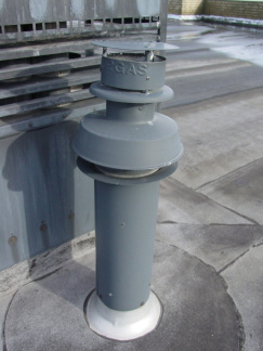 DSC01339