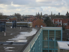 Zijloever 41