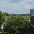 ZwaluwAK1