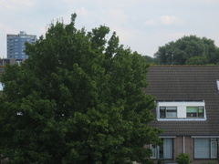 ZwaluwAK13