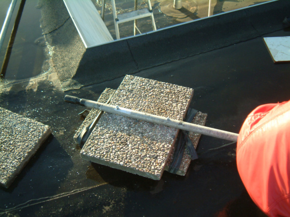 zwaluwak010