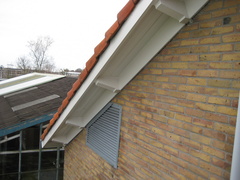 IMG 4834
