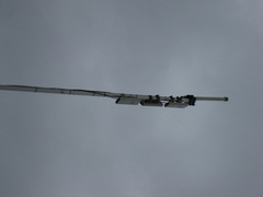 IMG 4842