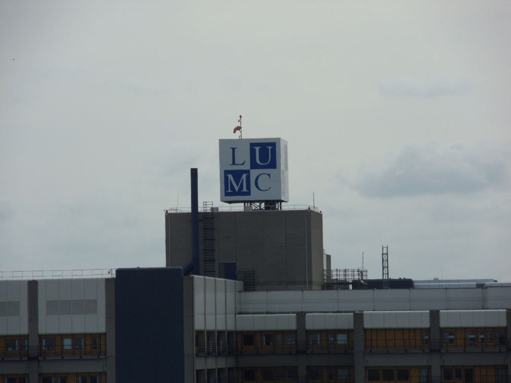 SDC10375