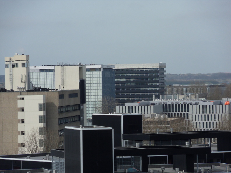 SDC10376