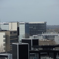 SDC10376