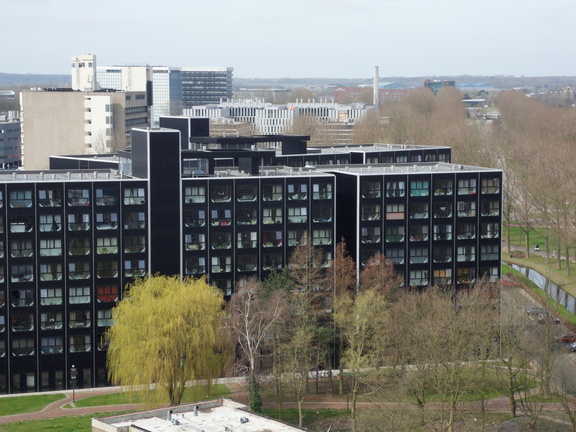 SDC10377