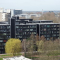 SDC10377