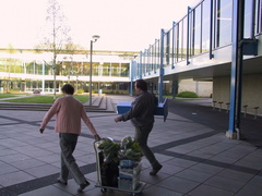 IMG 0985