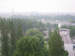 img 0022