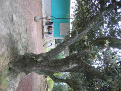 IMG 5127