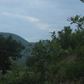 IMG 5131
