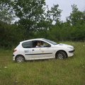 IMG 5132
