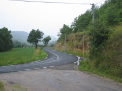 IMG 5137
