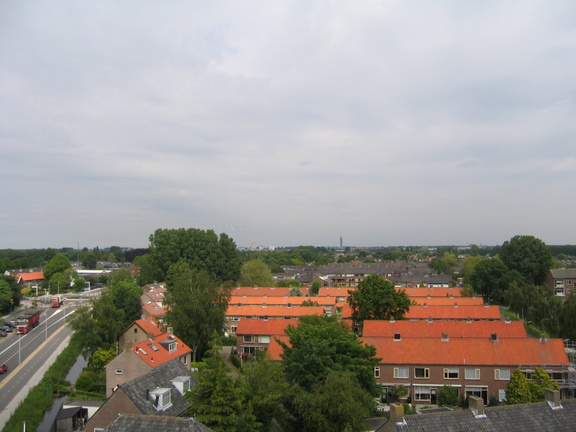 IMG 0082