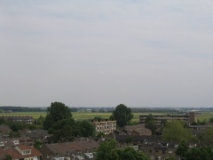 IMG 0091