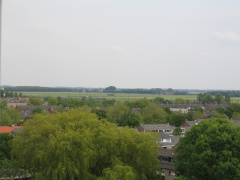 IMG 0092