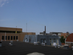 img 0950