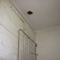 img 0956