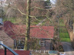img 9842