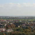 IMG 6531
