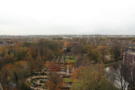 IMG 0729