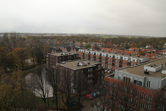IMG 0742