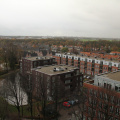 IMG 0742