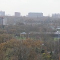 IMG 0782